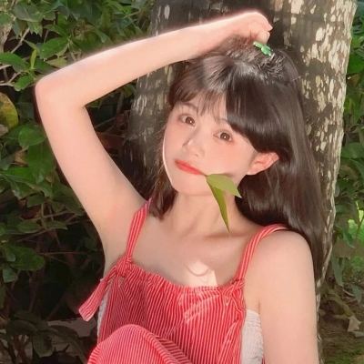 倚天双剑游戏